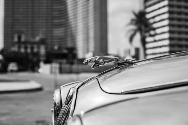 Casino Prize Land Bingo Android/iOS-app